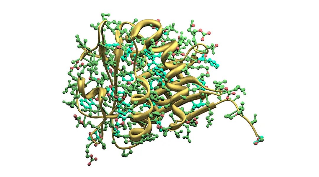 ezgif-3-de5f4967c8 image of enzyme under microscope