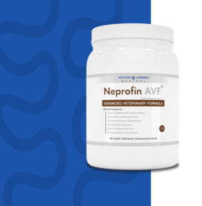 arthur andrew neprofin avf