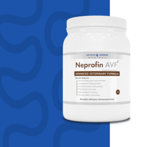 arthur andrew neprofin avf