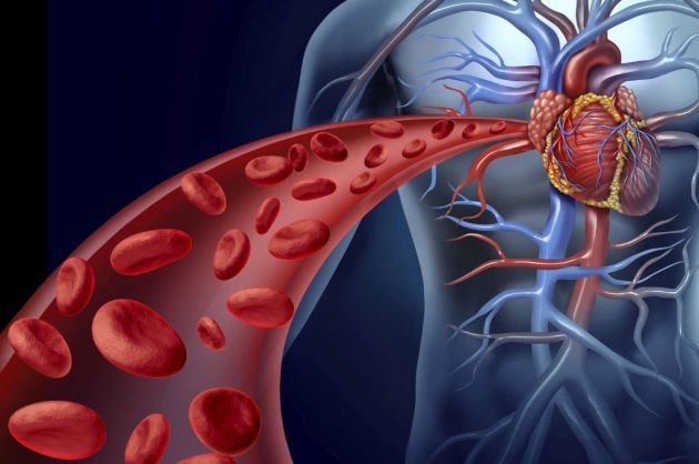 Nattokinase helping blood