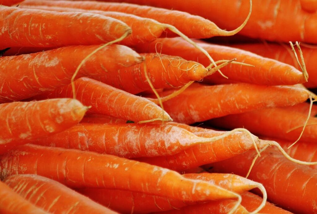image of carrots which are high in vitamin a and good for the immune system