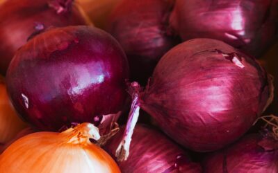 Top 25 Best Prebiotics Foods And How They Improve Gut Health