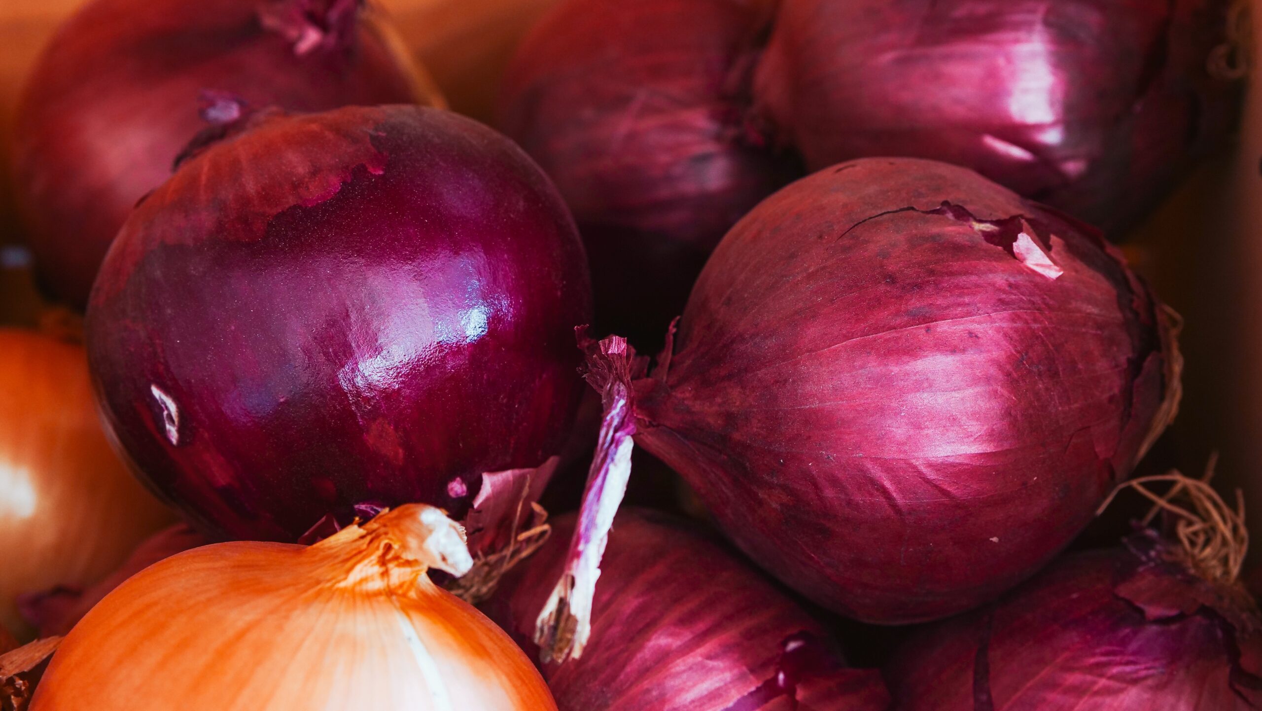pexels-kindel-media-7456550 a close up shot of red onions